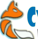 Cyber Fox Technology photo