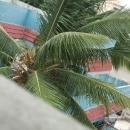 chemistry ,XII,XI CBSE photo