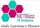 NETBizz photo