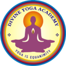 Divine Yoga Academy photo