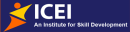 ICEI Career Launcher photo