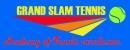Grand Slam Tennis photo