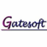 Gatesoft Solutions Website Scripting institute in Pune