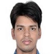 Brajendra Singh Class 9 Tuition trainer in Delhi