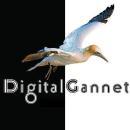 Digital Gannet photo