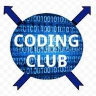 CodingCub IT Training Institute Computer Course institute in Chennai