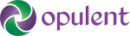 Opulent Infotech Pvt Ltd photo