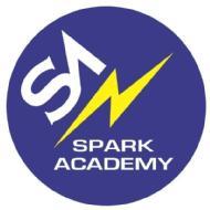 Spark Academy Class 9 Tuition institute in Hyderabad