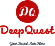 Deep Quest Software Pvt Ltd Salesforce Administrator institute in Hyderabad