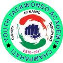YOUTH TAEKWONDO ACADEMY photo