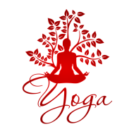 Yoga Aerobics Classes Yoga institute in Jaipur