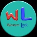 Lark Institute Music institute in Chengalpattu