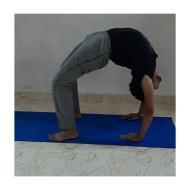 Univercity of Patanjali Yoga institute in Bijnor