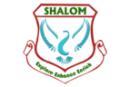 Shalom Children s Academy Painting institute in Chennai