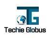 Techie Globus Salesforce Administrator institute in Noida