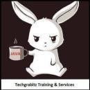 Techgrabitz Training And Services photo