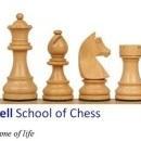 Photo of All is Well School of Chess