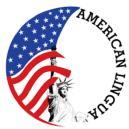 American Lingua Institute of Spoken English photo
