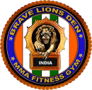 Brave Lions Den MMA Fitness GYM Boxing institute in Ahmedabad