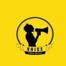 Voice Culture Academy photo