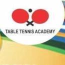 Masters table tennis academy photo