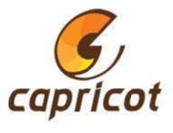 Capricot Technologies Pvt Ltd 3D Studio Max institute in Mumbai