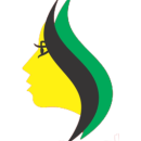 SHHINE AND SHADOW photo