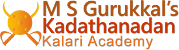 M S G Kadathanadhan Kalari Academy Self Defence institute in Bangalore
