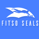 Fitso SEALs - Premium Swimming Classes photo
