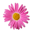 Blossom Beauty Institute photo