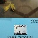 Photo of Vamsi Tutorial