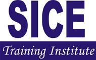 SICE Computer Education. MS Office Software institute in Delhi