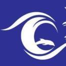 Pacific Educare photo
