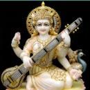 Naidu's Academy photo