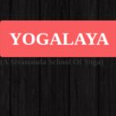 Yogalaya Sivananda photo