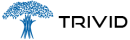 Trivid Technologies photo