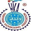 Modern Martial Arts KickBoxing Class photo