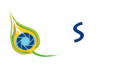 Vishi Photography photo