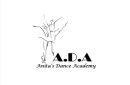 Anita Dance Academy photo
