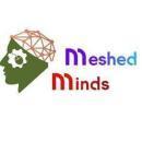 Meshed Minds Creative Learning photo