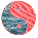 Delhi Kung Fu Club photo