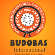 Bodobas Karate International Academy Karnataka Self Defence institute in Bangalore