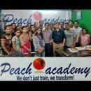 Peach Academy SBI Exam institute in Mumbai