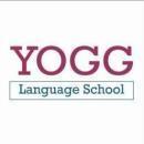 YOGG Language School photo