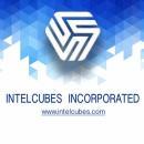 Intelcubes Incorporated photo