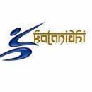 Kalanidhi Kala Studio photo