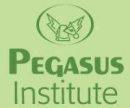 Pe Gasus Institute photo