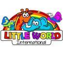 Little World International Preschool And Day Care photo
