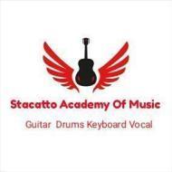 Stacatto Academy Of Music Guitar institute in Surat