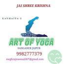 Art Of Yoga photo